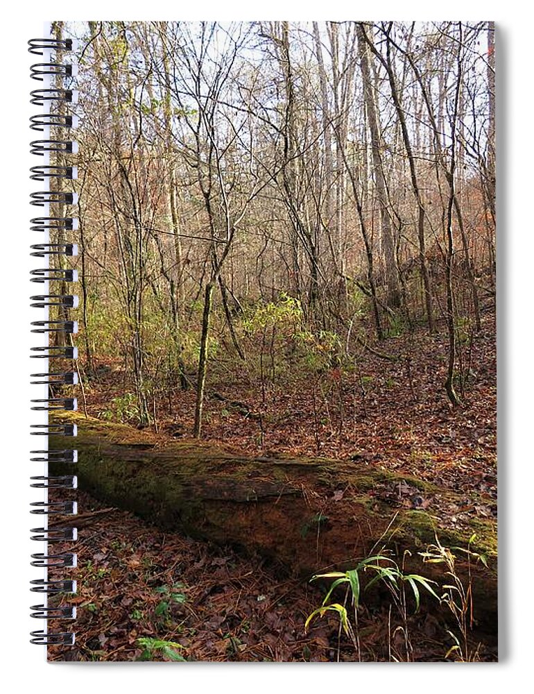 Forest Spiral Notebook featuring the photograph Green Forest Everywhere by Ed Williams