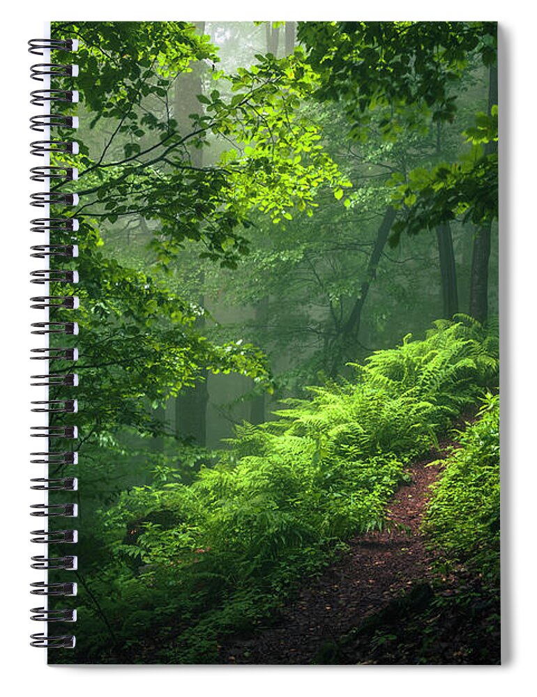 Mountain Spiral Notebook featuring the photograph Green Forest by Evgeni Dinev