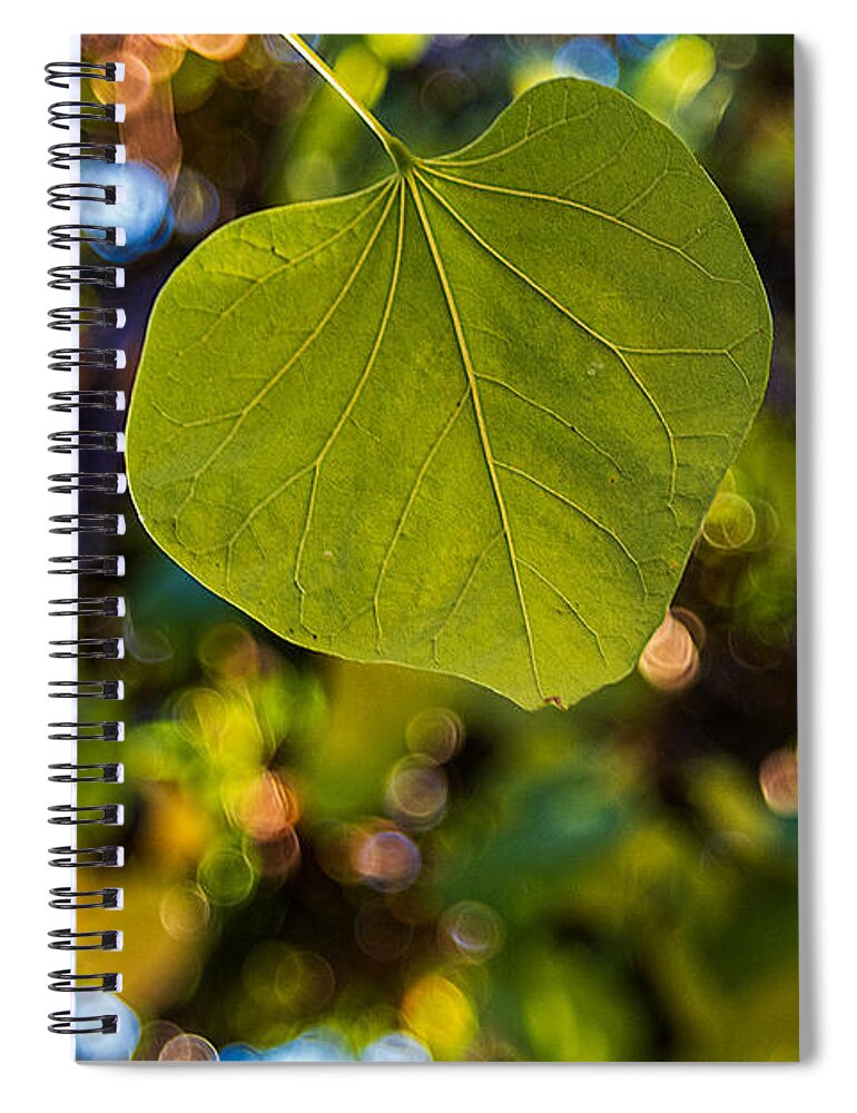 Leaves Spiral Notebook featuring the photograph Green Leaf and Autumn Bokeh by Stuart Litoff