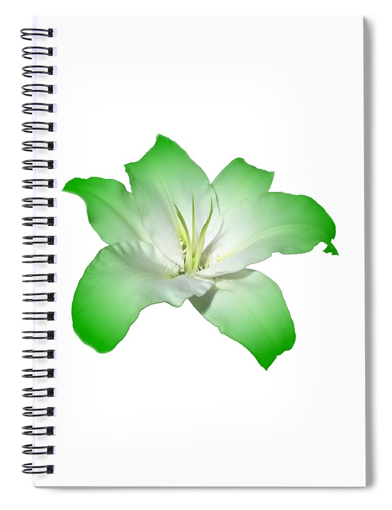 Green Spiral Notebook featuring the photograph Green Lily Flower by Delynn Addams
