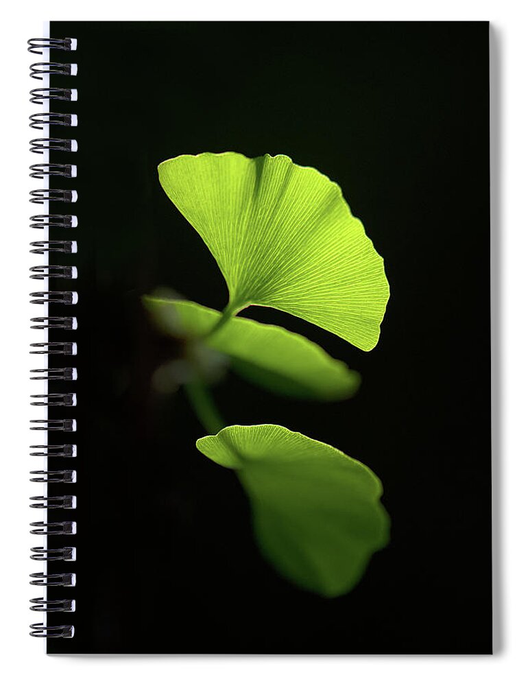 Leaves Spiral Notebook featuring the photograph Green Sagacity by Philippe Sainte-Laudy