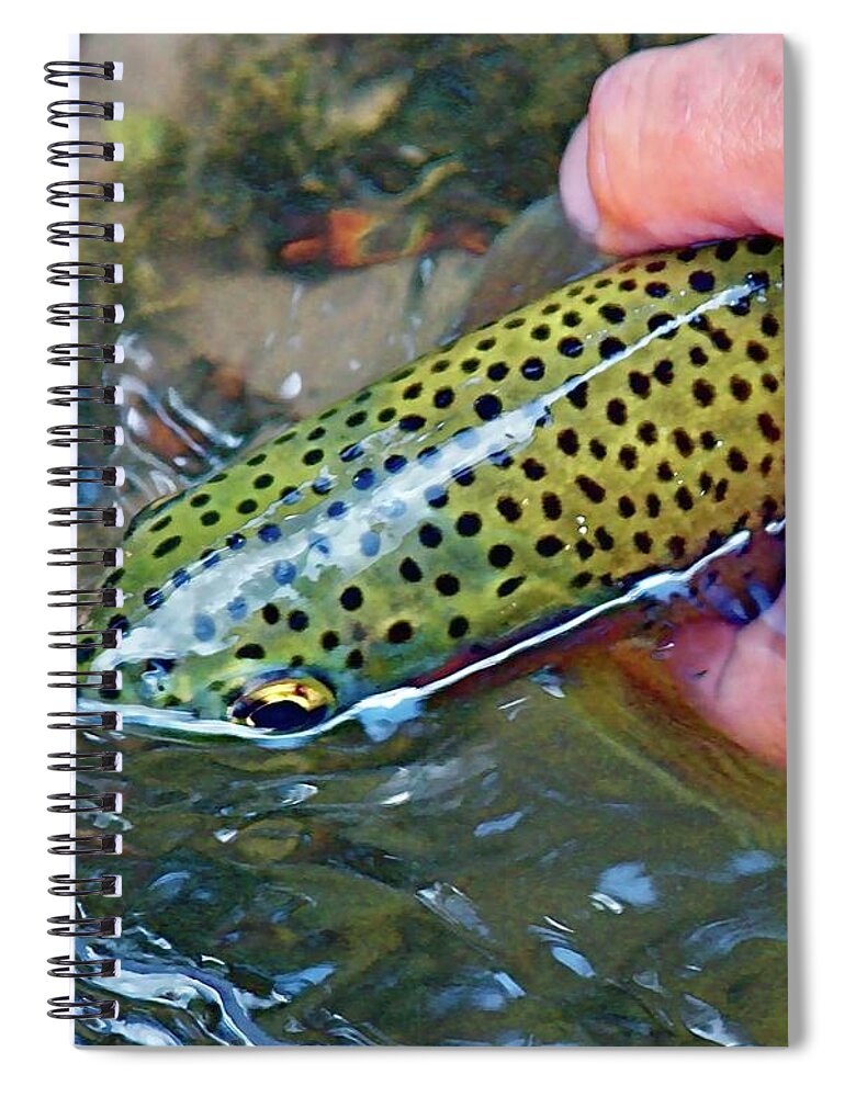 Trout Spiral Notebook featuring the photograph Green Speckled Trout by Dorsey Northrup