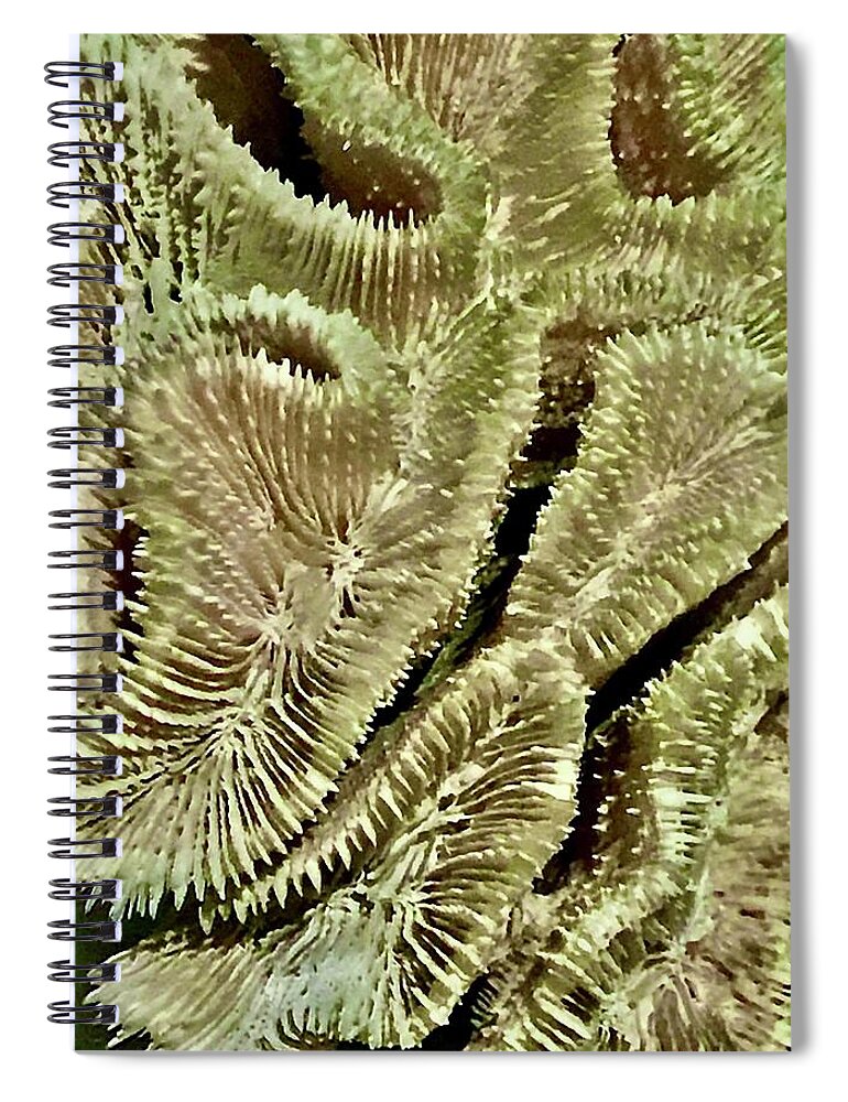 Plants Spiral Notebook featuring the photograph Green Ways by Kerry Obrist