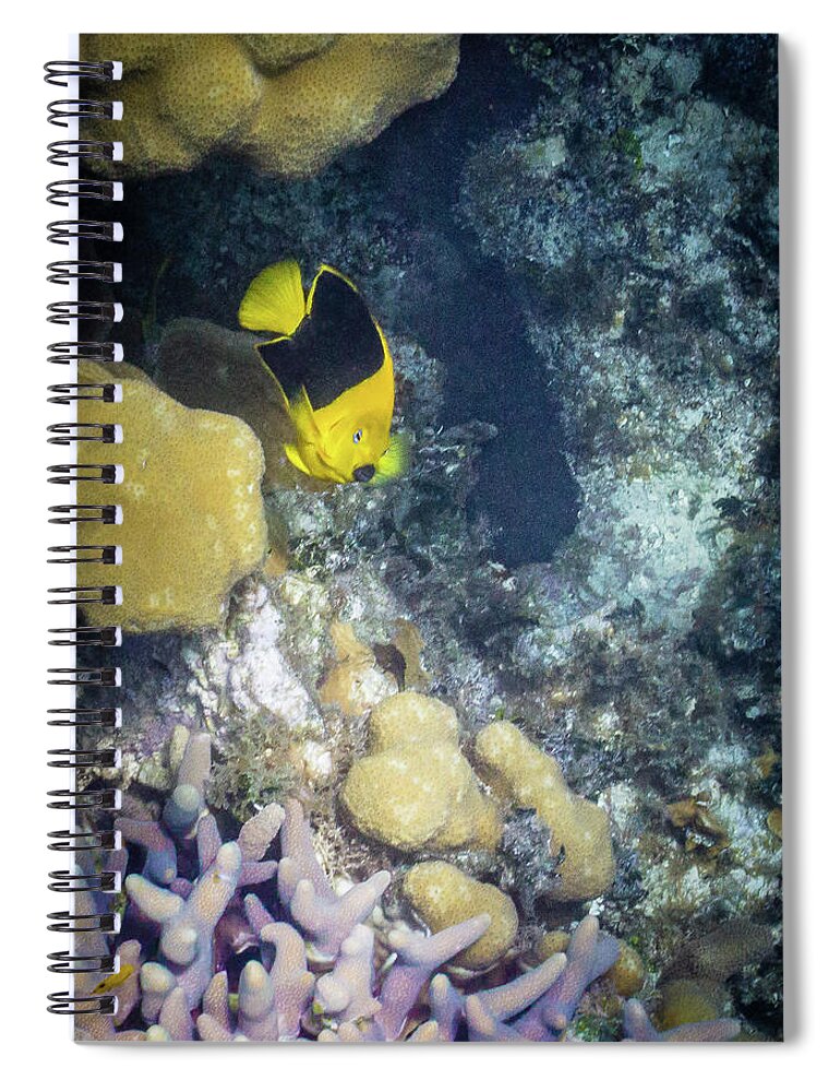 Animals Spiral Notebook featuring the photograph Greetings by Lynne Browne