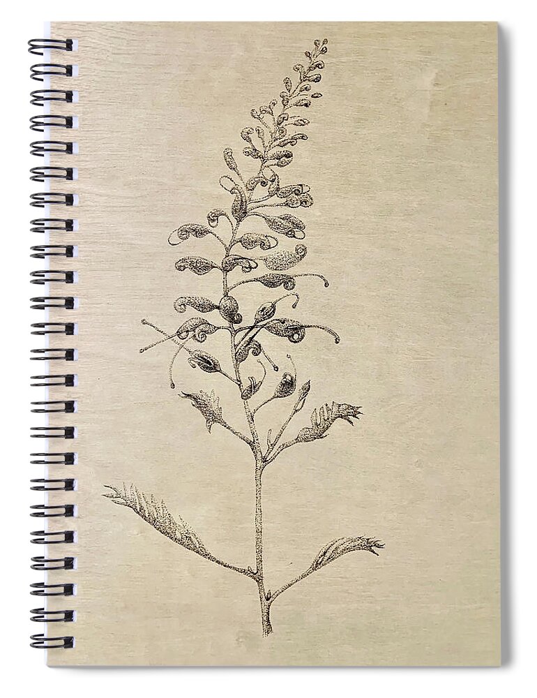 Grevillea Spiral Notebook featuring the painting Grevillea by Franci Hepburn