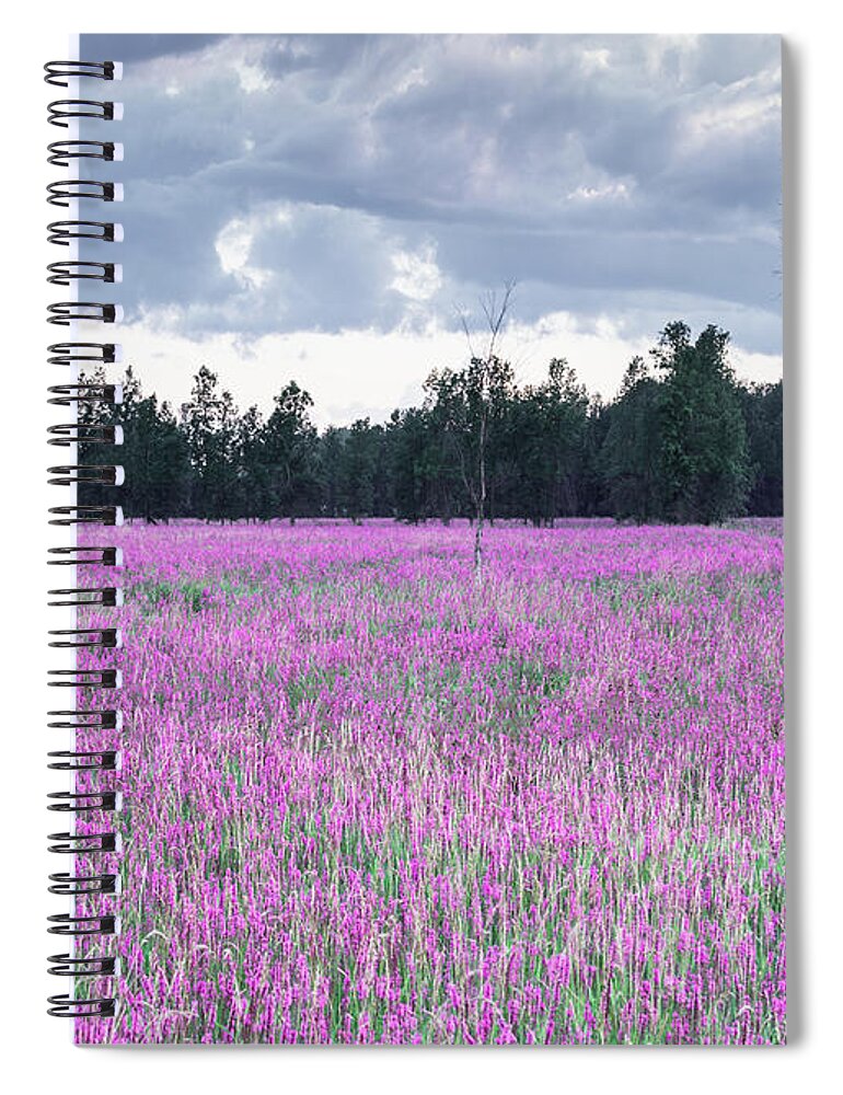 Easter Spiral Notebook featuring the mixed media Grey and Pink by Moira Law
