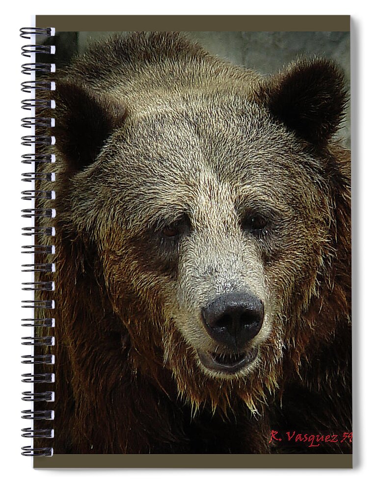 Bear Spiral Notebook featuring the photograph Grizzly Bear by Rene Vasquez