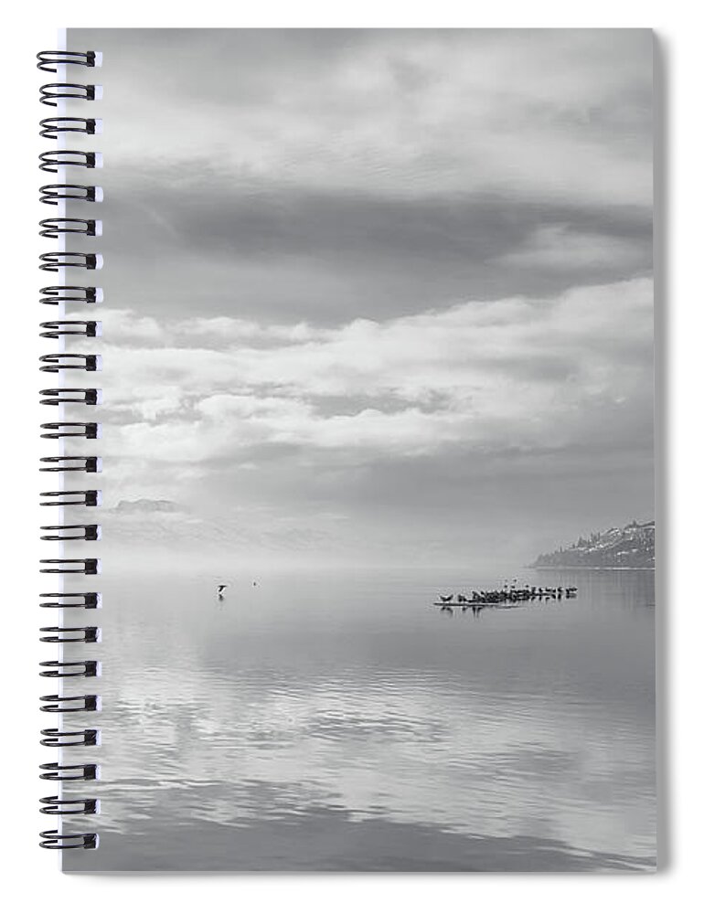 Black And White Photography Spiral Notebook featuring the photograph Gulls and Reflection Black and White by Allan Van Gasbeck