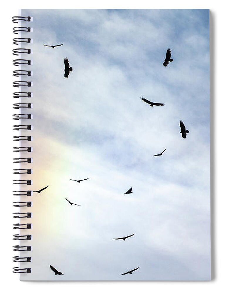Sea Spiral Notebook featuring the photograph Gulls in the Rainbow by Denise Kopko