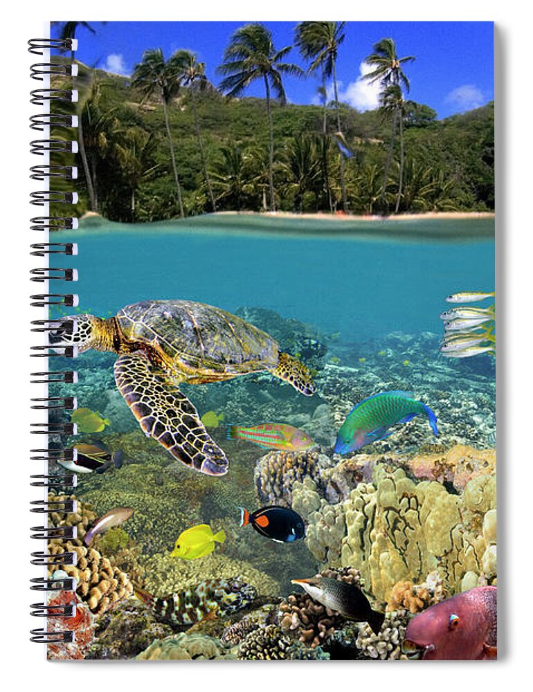 Ocean Spiral Notebook featuring the photograph Hanauma Bay by Artesub