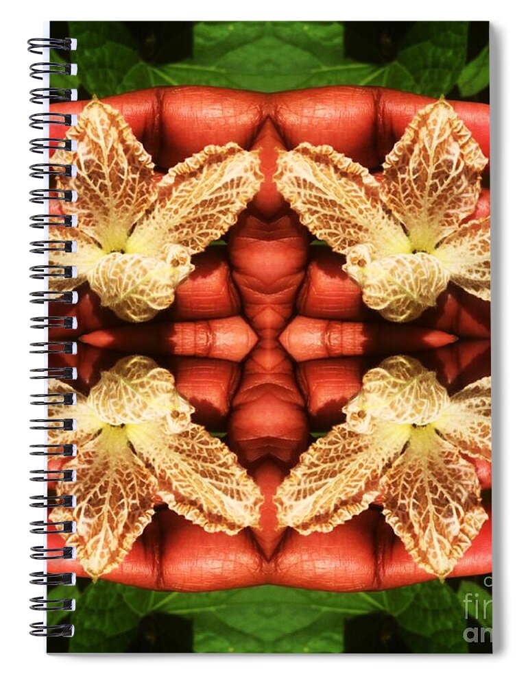 Birds Nest Gourd Flower And Hand Spiral Notebook featuring the photograph Hand Held Flower by Cleaster Cotton