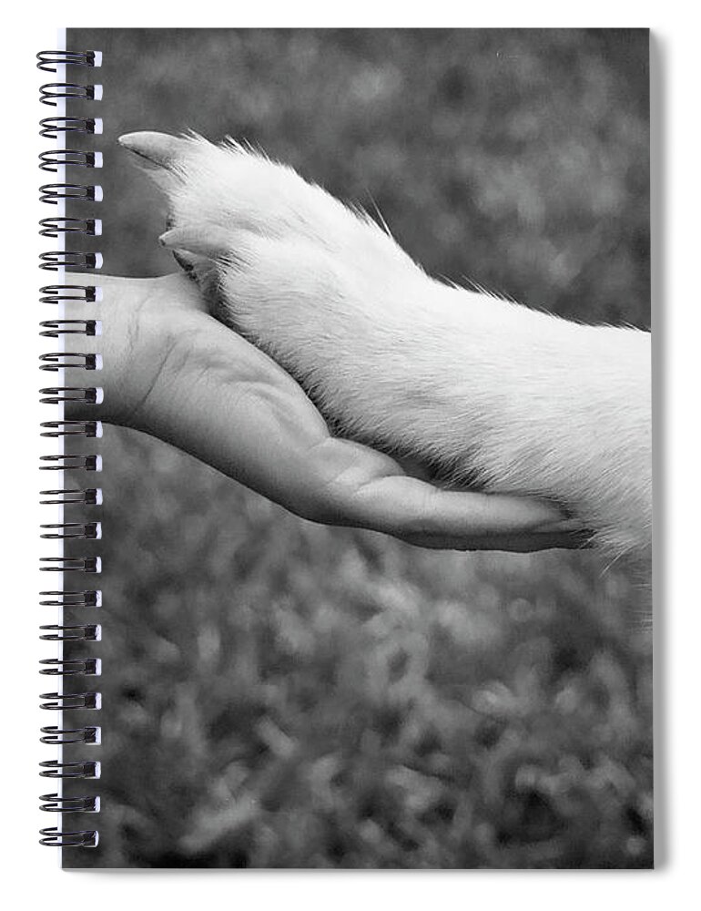 Dogs Spiral Notebook featuring the photograph Hand in Paw by Renee Spade Photography