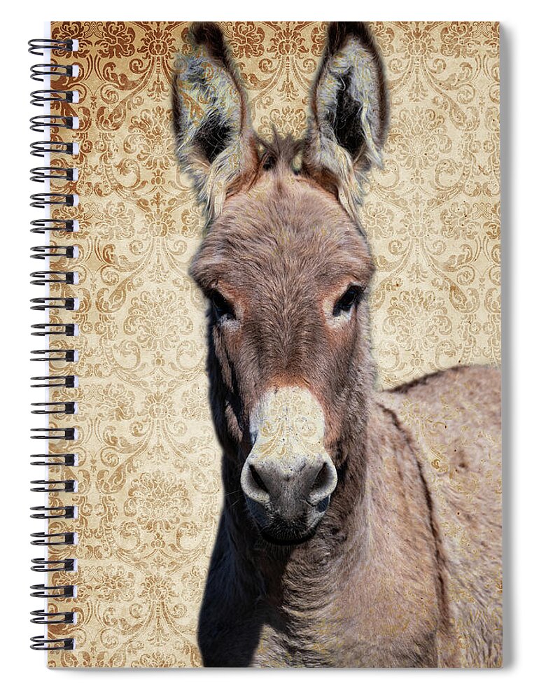 Wild Burros Spiral Notebook featuring the photograph Handsome Jack by Mary Hone