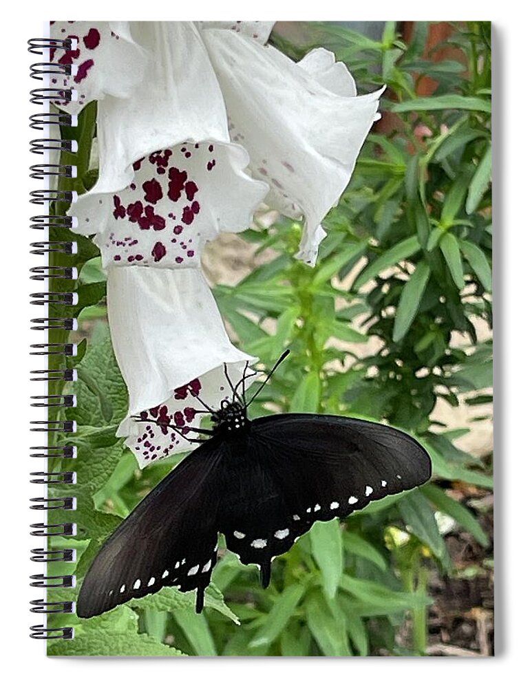 Butterfly Black White Flower Maroon Leaves Green Beige Wall Insect Spiral Notebook featuring the digital art Happy Butterfly by Kathleen Boyles