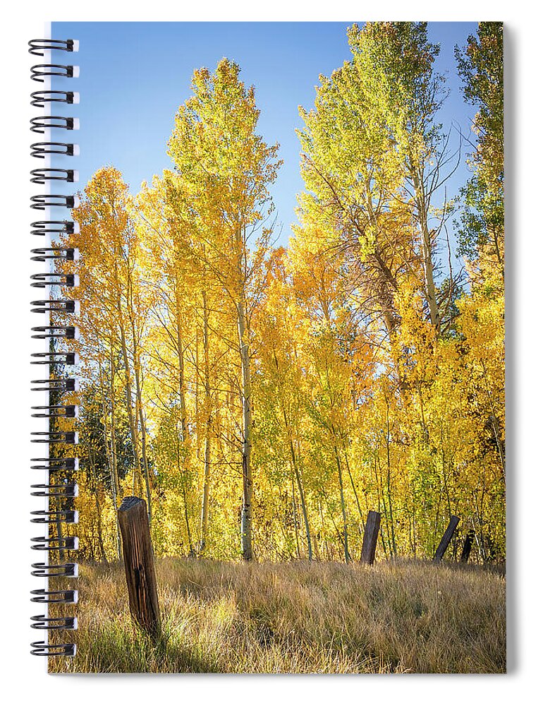 Fall Spiral Notebook featuring the photograph Happy Color in Hope Valley by Gary Geddes