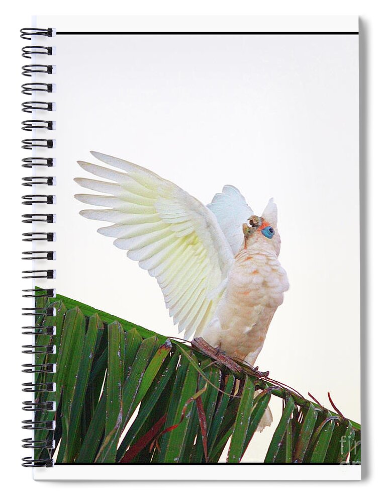 Corella Spiral Notebook featuring the photograph Happy Corella 2 by Russell Brown