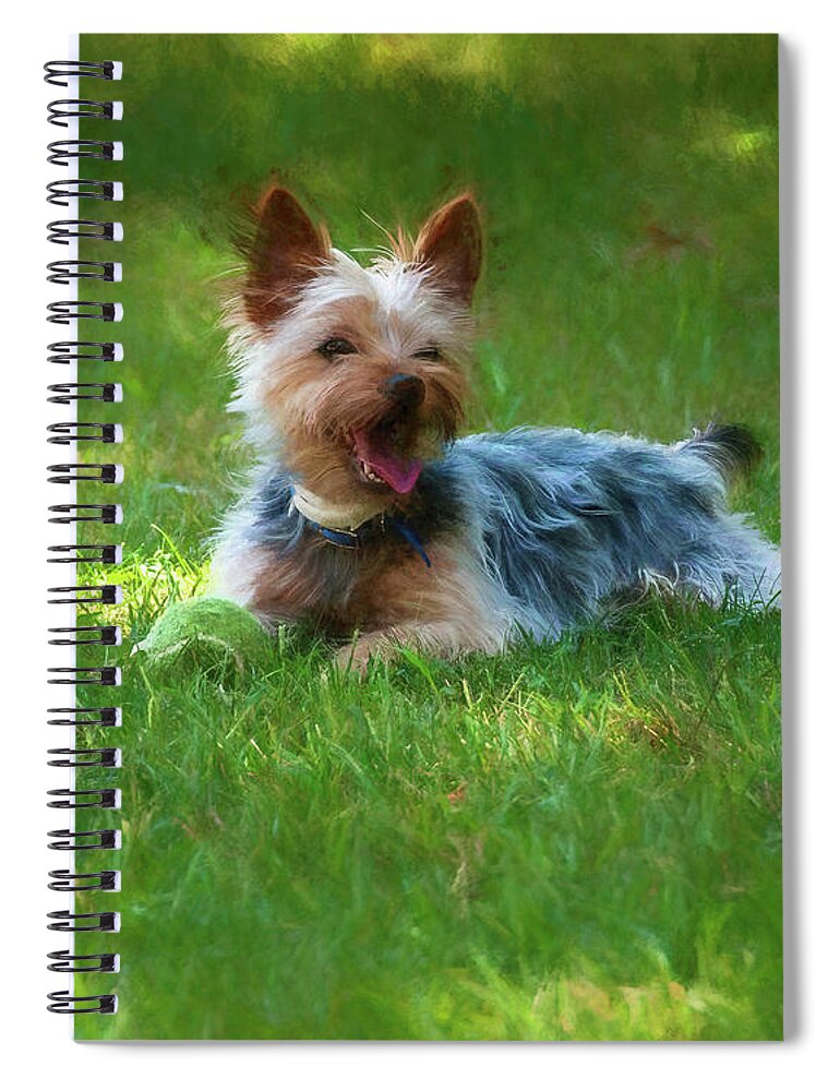 Dog Spiral Notebook featuring the photograph Happy Dog by Cathy Kovarik
