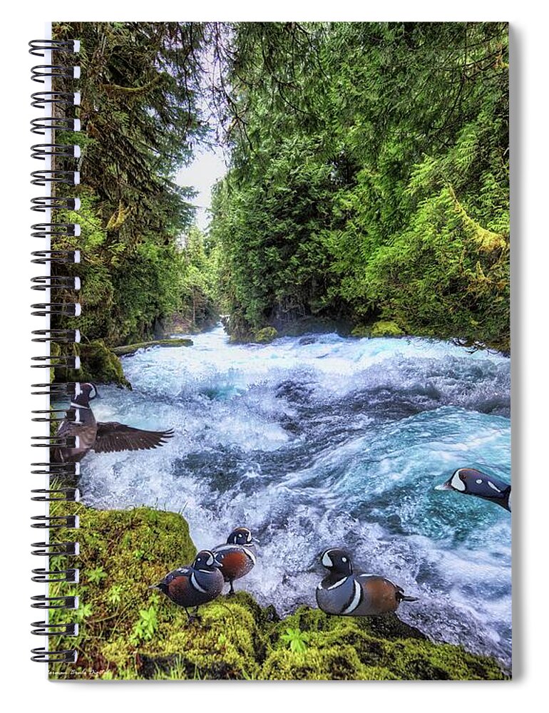 Ducks Spiral Notebook featuring the digital art Happy Harlequins by Norman Brule