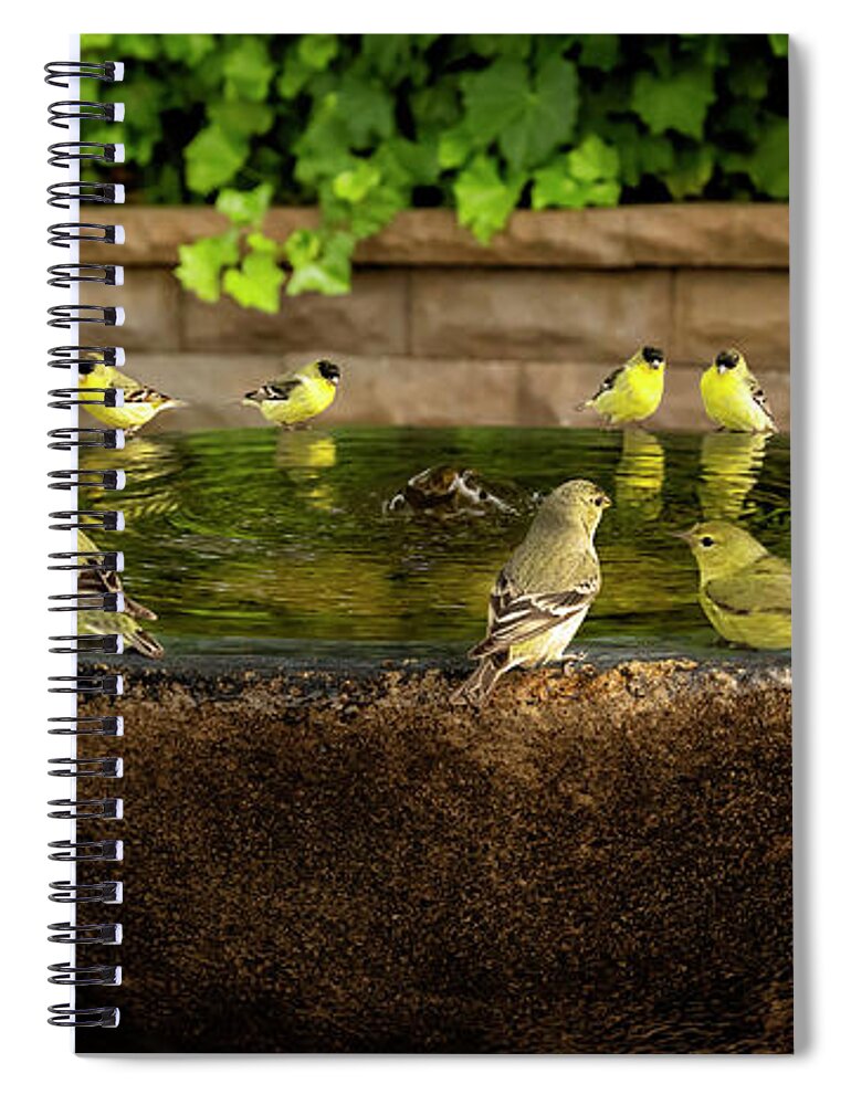 Gary-johnson Spiral Notebook featuring the photograph Happy Hour at the Watering Hole by Gary Johnson