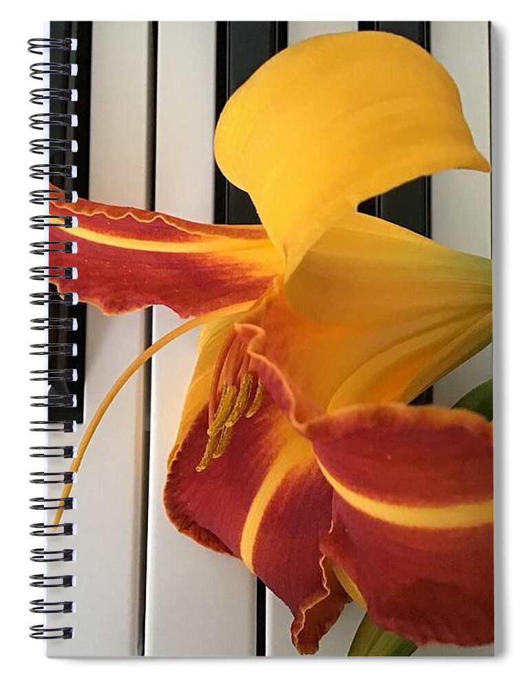 Lily Spiral Notebook featuring the photograph Happy Lily on Keyboard by Catherine Wilson