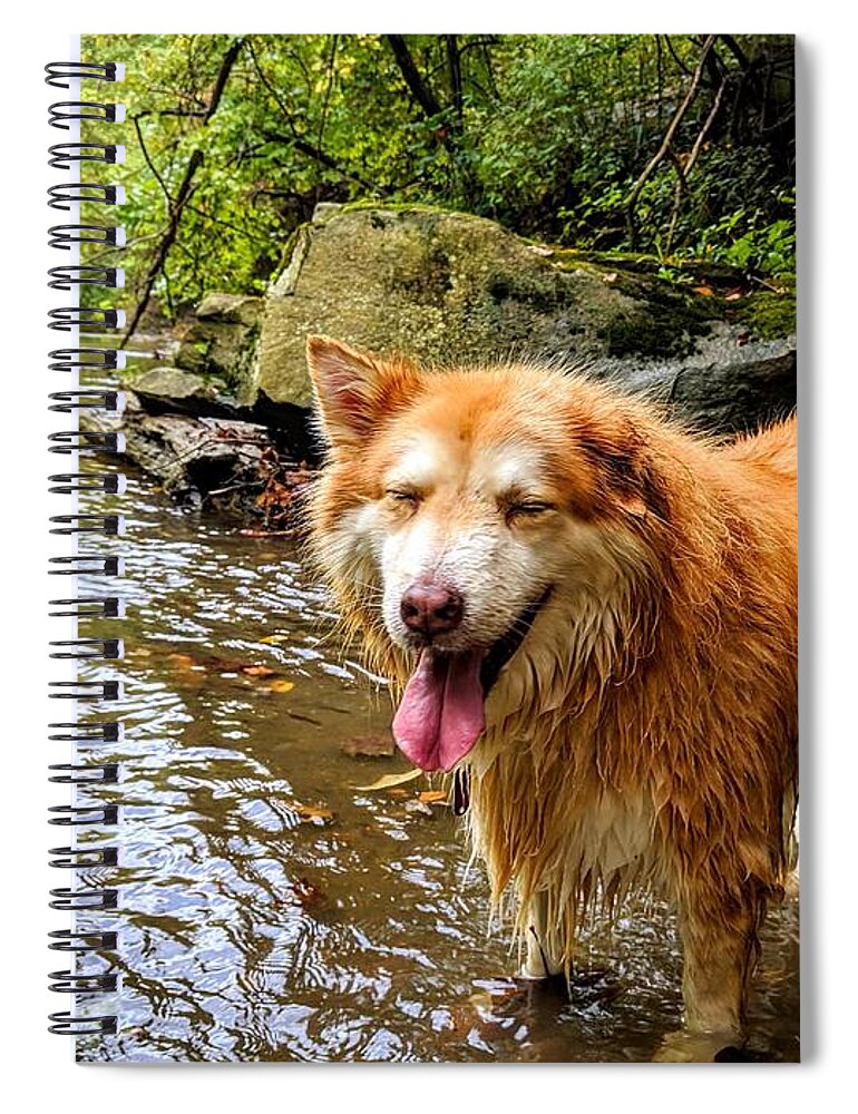  Spiral Notebook featuring the photograph Happy Pup by Brad Nellis