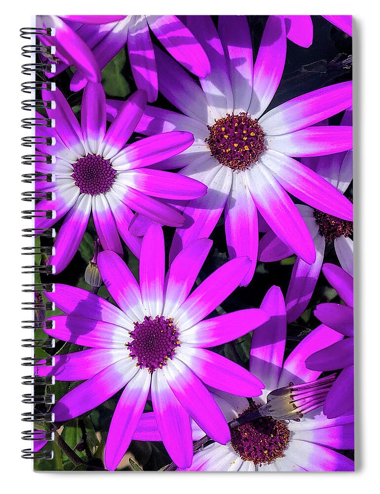 Big Flowers Spiral Notebook featuring the digital art Happy Purples by Cindy Greenstein
