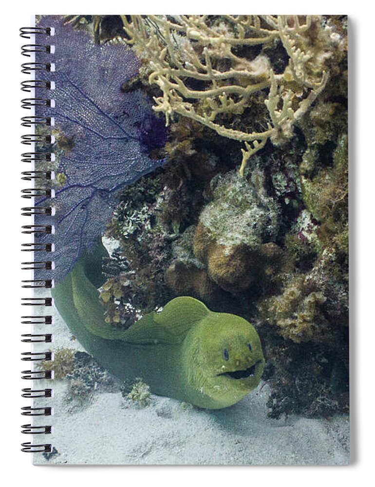 Animals Spiral Notebook featuring the photograph Happy to Meet You by Lynne Browne