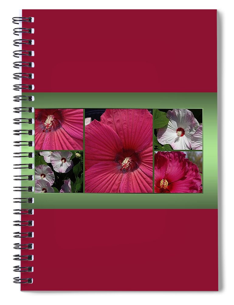 Hibiscus Spiral Notebook featuring the photograph Hardy Hibiscus by Nancy Ayanna Wyatt