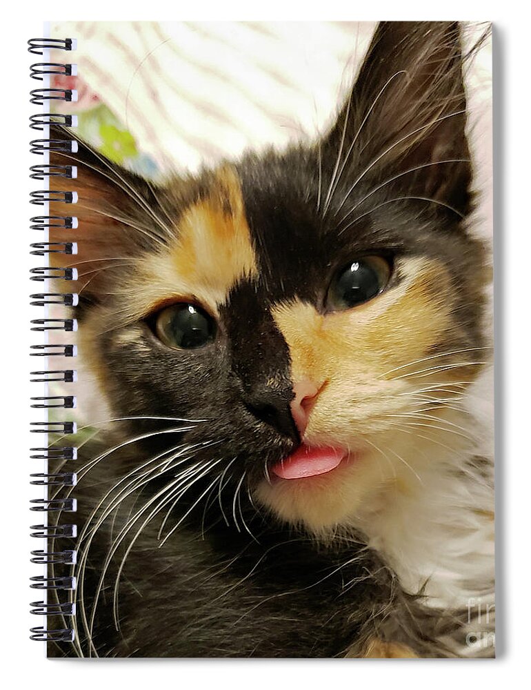 Kitten; Cute Kitten; Cat; Cute Cat; Tortoiseshell; Calico; Cute; Animal; Pet; Funny; Tongue; Silly; Happy; Square Spiral Notebook featuring the photograph Harlequin by Tina Uihlein