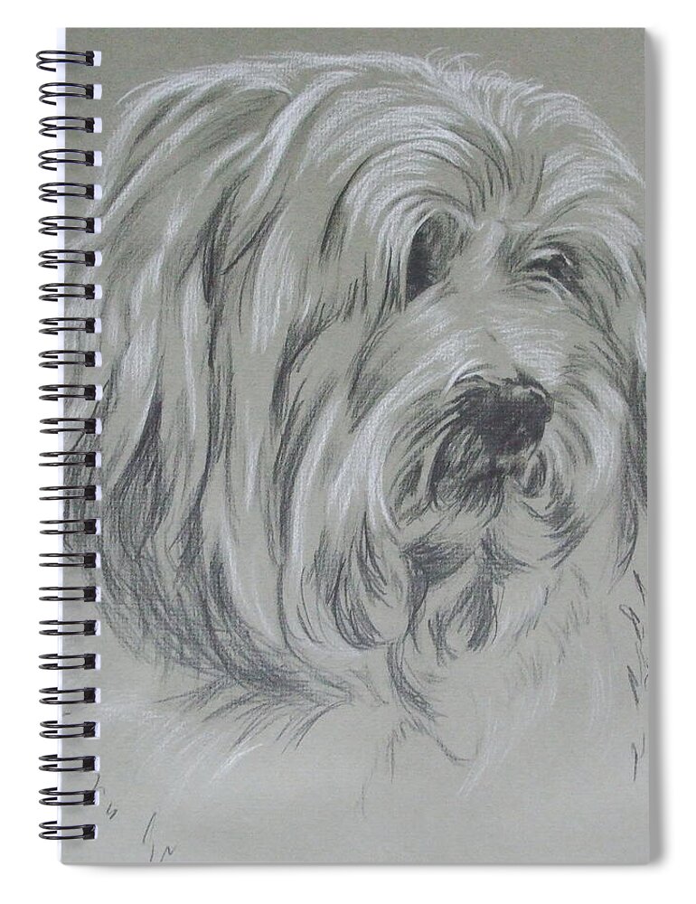 Toy Breed Spiral Notebook featuring the drawing Havanese Portrait in Graphite by Barbara Keith