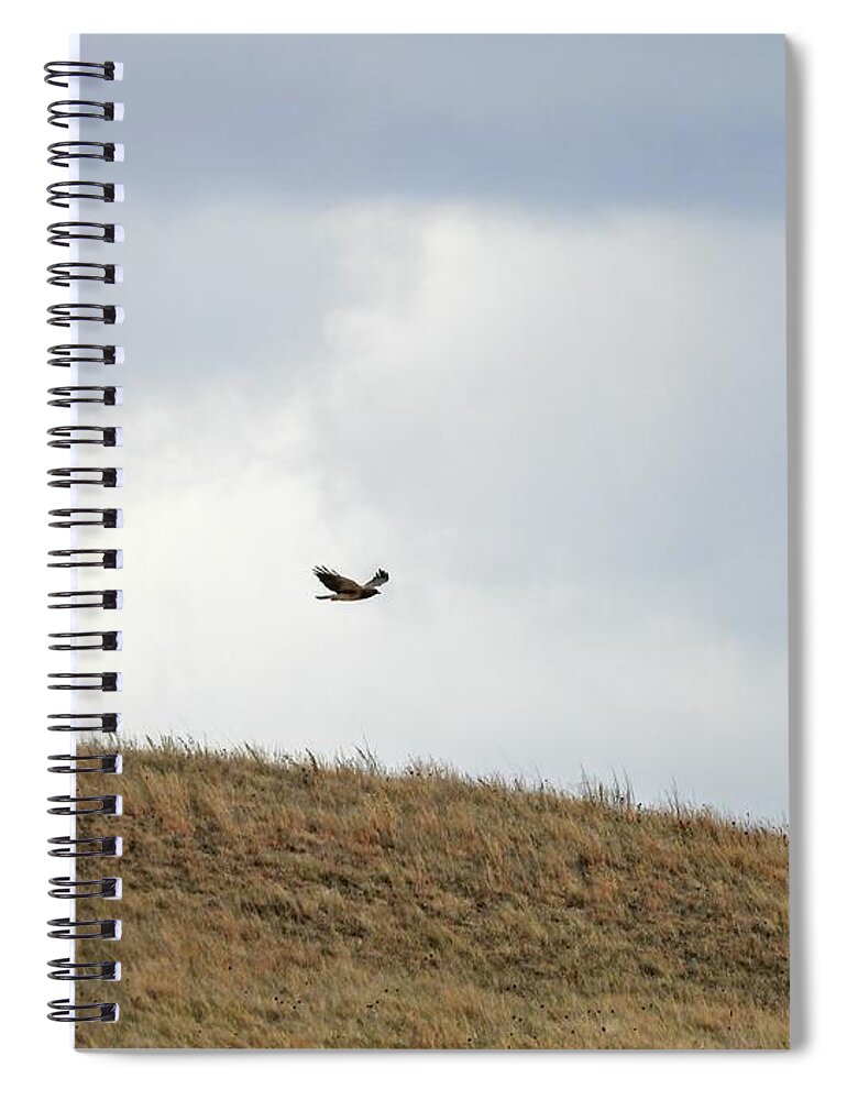Hawk Spiral Notebook featuring the photograph Hawk Soaring Low by Amanda R Wright