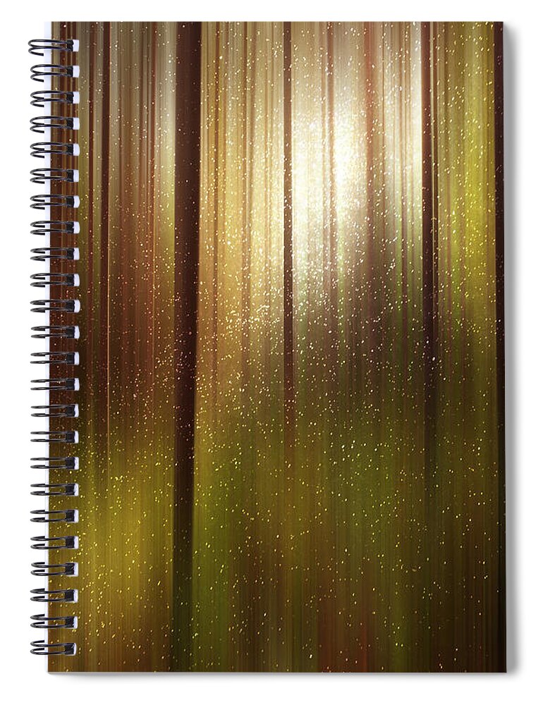 Summer Woods Spiral Notebook featuring the digital art Hazy Late Afternoon in the Summer Woods by Neece Campione
