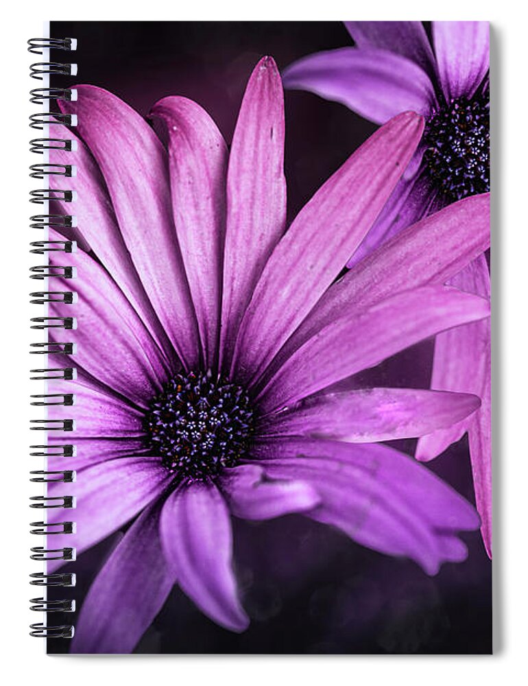 Purple Spiral Notebook featuring the photograph Healing by Vanessa Thomas