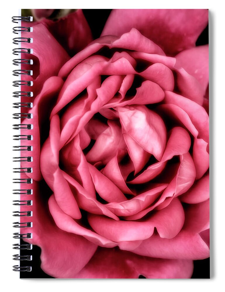 Pink Spiral Notebook featuring the photograph Heart Of A Rose by Bill and Linda Tiepelman