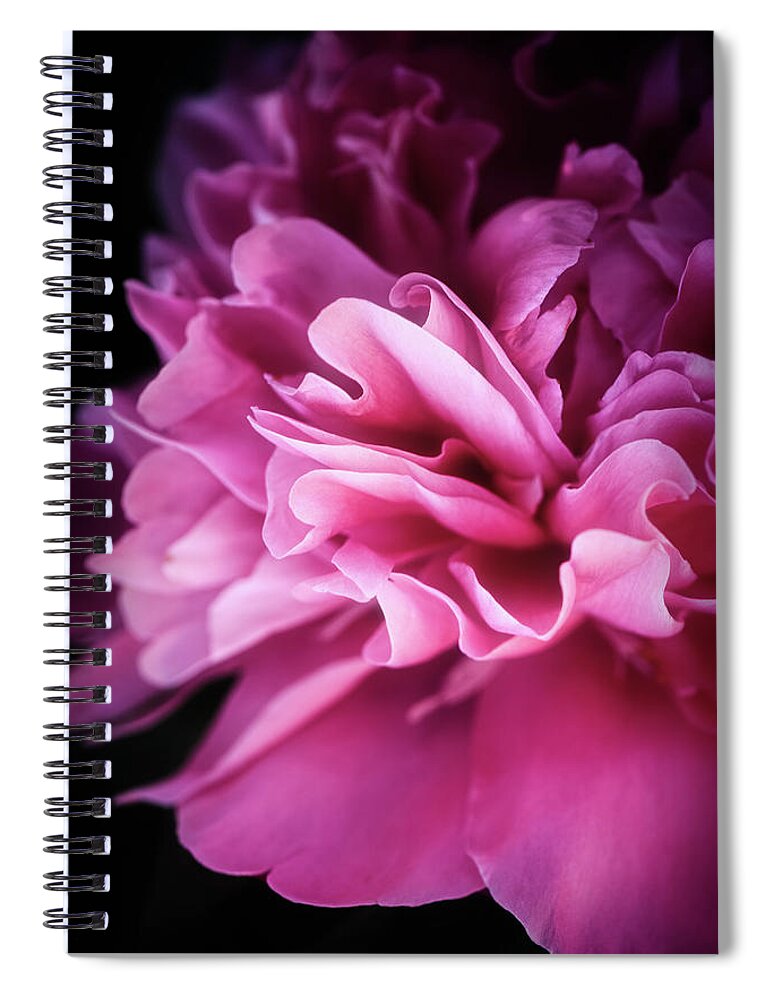 Peony Spiral Notebook featuring the photograph Heart of Peony by Philippe Sainte-Laudy