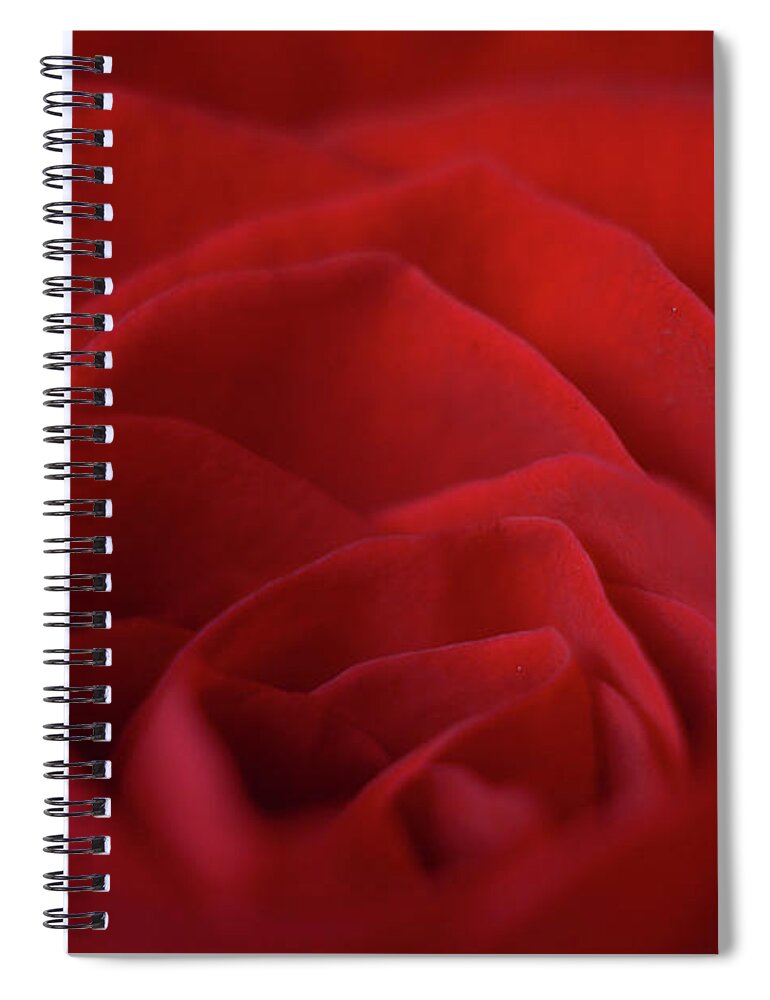 Red Rose Spiral Notebook featuring the photograph Hearted by Michelle Wermuth