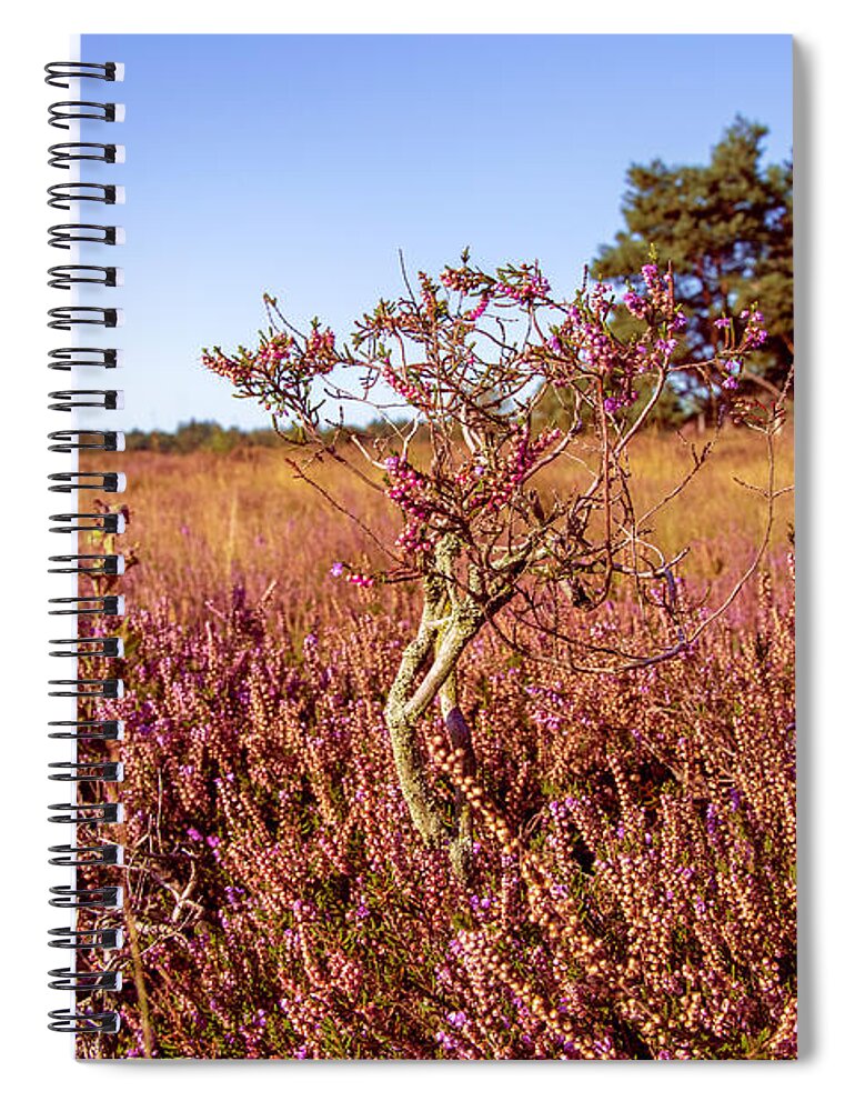 Red Spiral Notebook featuring the photograph Heather plant tree by MPhotographer