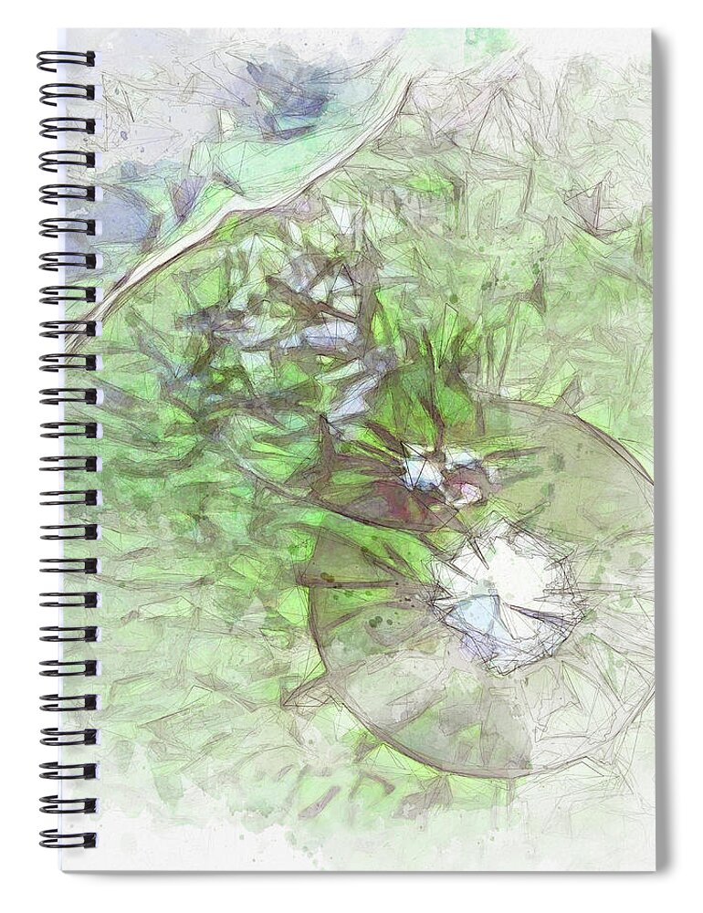 Painting Spiral Notebook featuring the digital art Heaven on Earth Series - Untitled VI by Red Ram