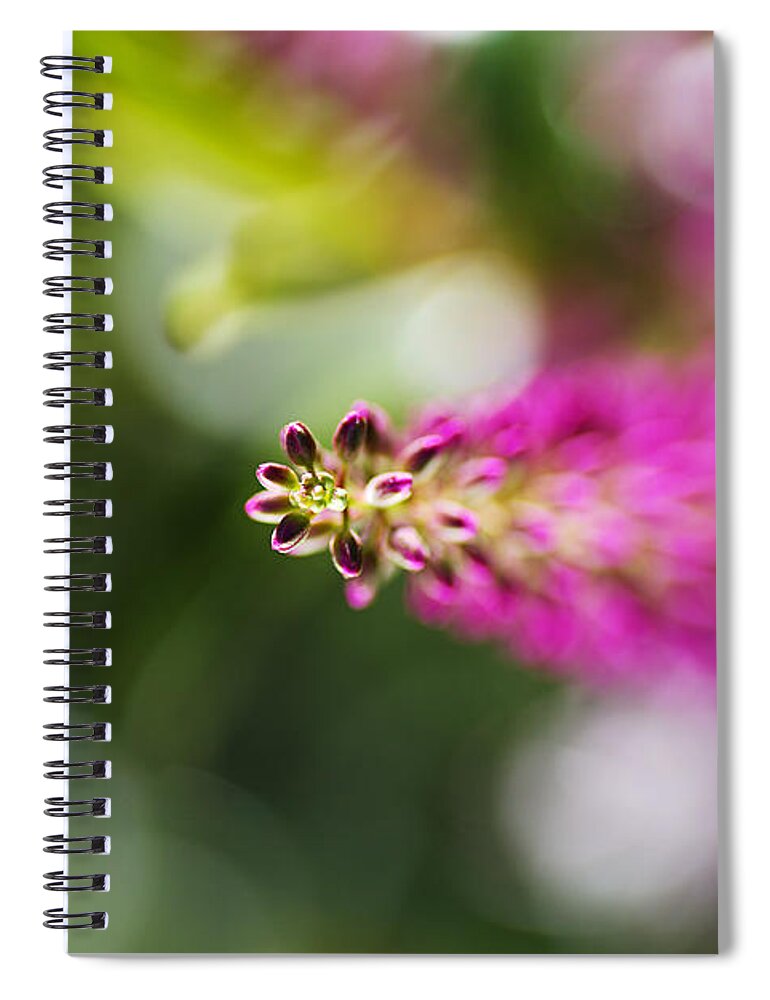 Hebe Painted Nature Spiral Notebook featuring the photograph Hebe Painted Nature by Joy Watson