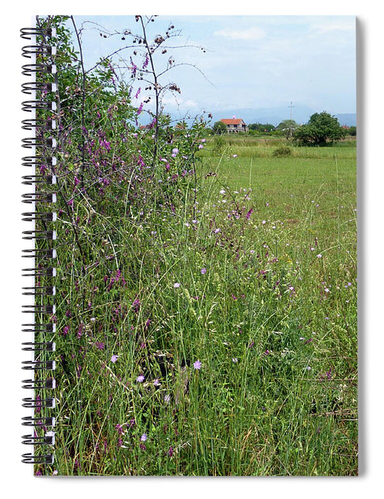 Wildflowers Spiral Notebook featuring the photograph Hedgerow wildflowers - Montenegro by Phil Banks
