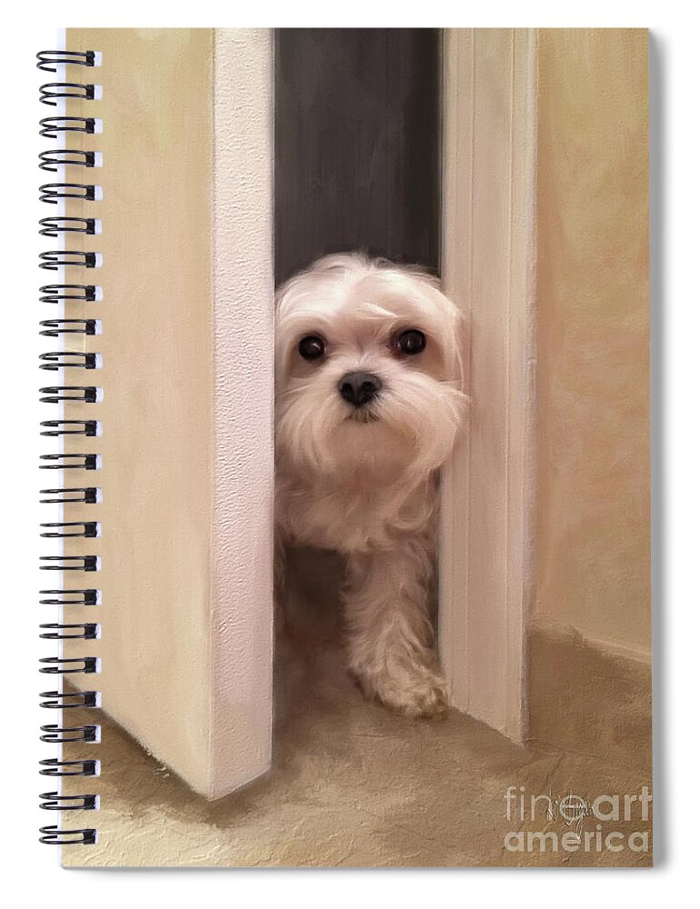 Maltese Spiral Notebook featuring the digital art Hello by Lois Bryan