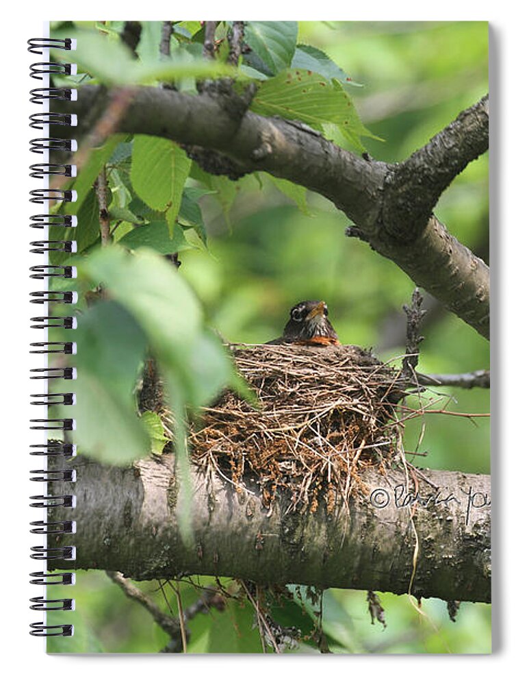 Wildlife Spiral Notebook featuring the photograph Hello by Patricia Youngquist