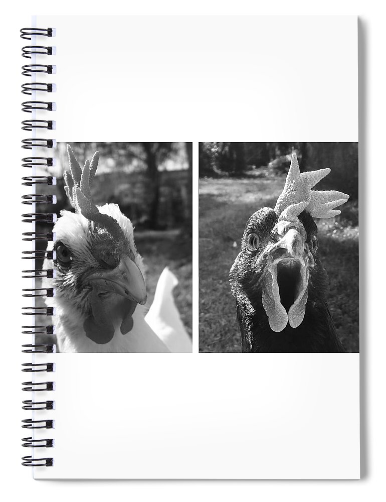 Hello Spiral Notebook featuring the photograph Hens Hello by Joelle Philibert