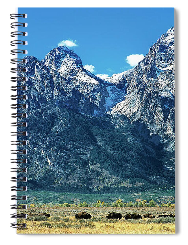 Dave Welling Spiral Notebook featuring the photograph Herd Of Bison Teton Range Grand Tetons National Park Wyoming by Dave Welling