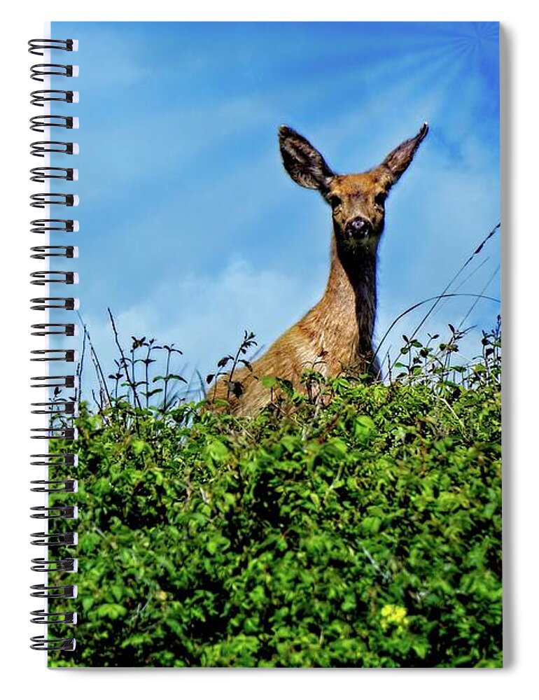 Alone Spiral Notebook featuring the digital art Here's Looking At You Dear by David Desautel