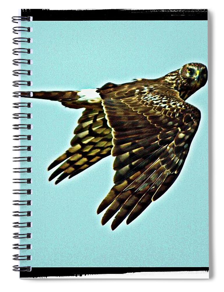 Animal Spiral Notebook featuring the digital art Here's Looking At You Kid Again by David Desautel