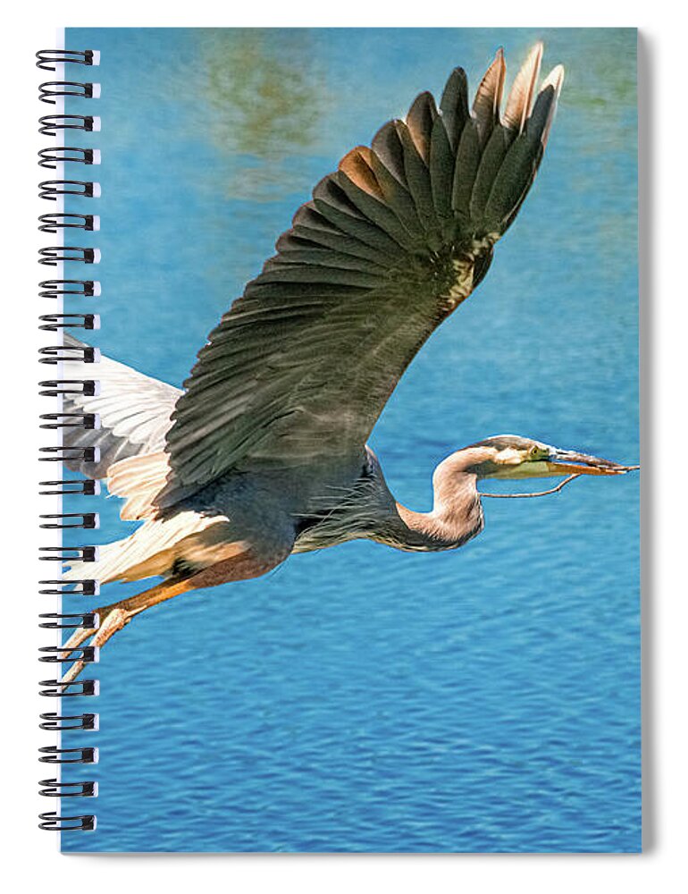 Heron Building Nest Spiral Notebook featuring the photograph Heron Bearing Gifts by Susan Molnar