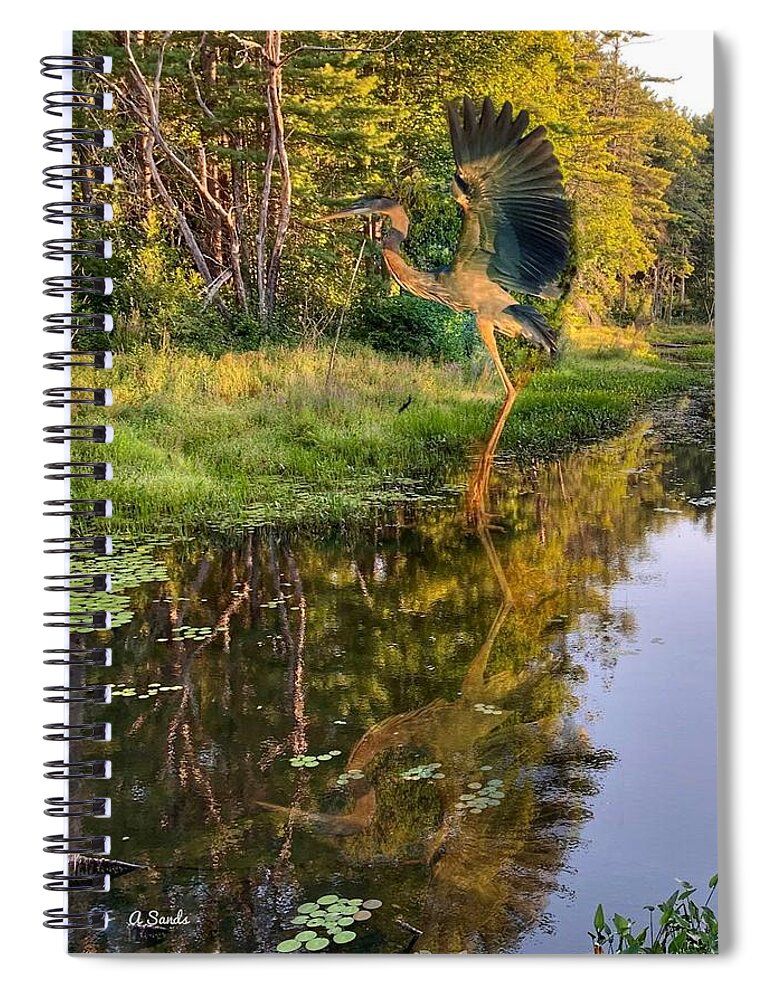 Blue Heron Spiral Notebook featuring the photograph Heron Reflections by Anne Sands