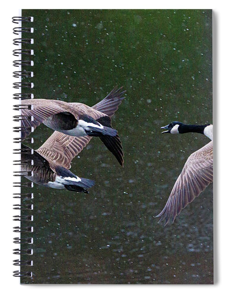 Birds Spiral Notebook featuring the photograph Hey Wait for Me by Ray Silva