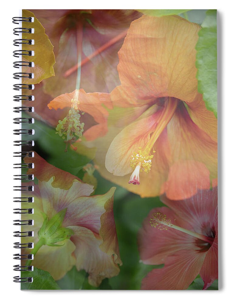 Flowers Spiral Notebook featuring the photograph Hibiscus Multiple by M Kathleen Warren
